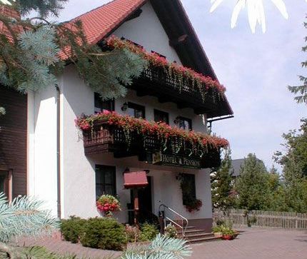 Hotel-Pension Flechsig in Hartmannsdorf bei Kirchberg