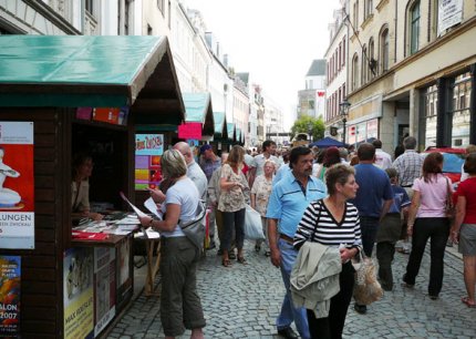 Innere Schneeberger Straße in Zwickau